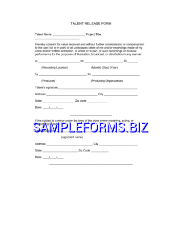 Talent Release Form 3 pdf free